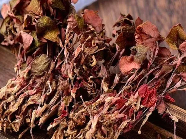 L'Anoectochilus Roxburghii essiccato di qualità eccellente arriva nei mercati specializzati