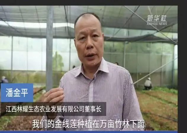 Pan Jinping, presidente della Jiangxi Linyao Ecological Agriculture Development Co., Ltd., intervistato dall'agenzia di stampa Xinhua