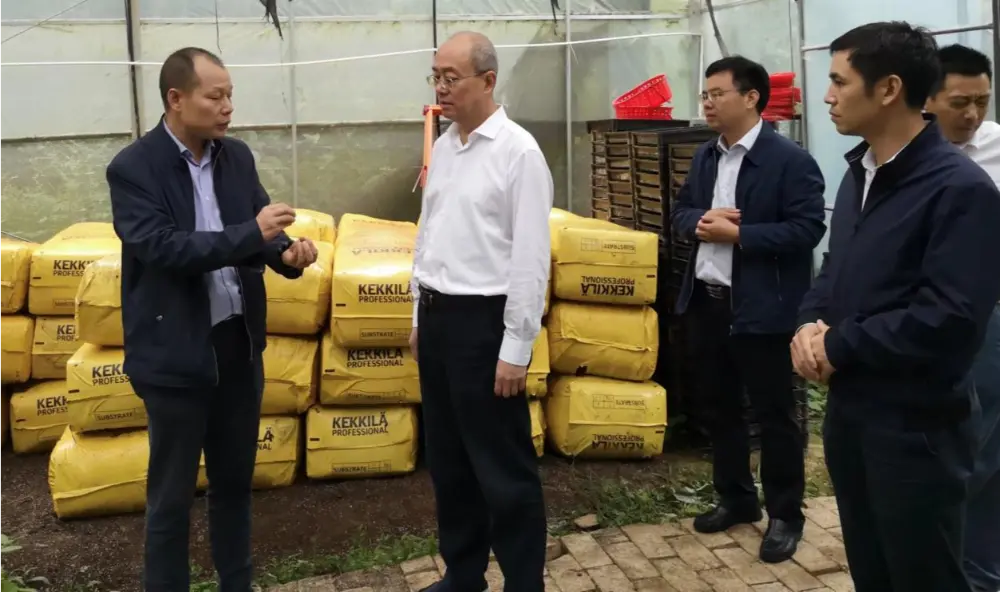 Xie Guanghua, segretario del partito e direttore dell'amministrazione provinciale della medicina tradizionale cinese dello Jiangxi, conduce ricerche presso la base di piantagione di Anoectochilus